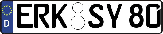 ERK-SY80