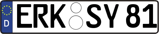 ERK-SY81