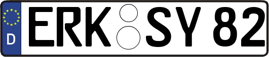 ERK-SY82