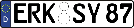 ERK-SY87