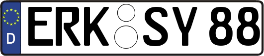 ERK-SY88
