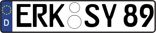 ERK-SY89