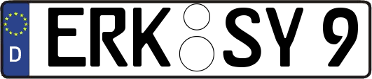ERK-SY9