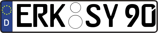 ERK-SY90