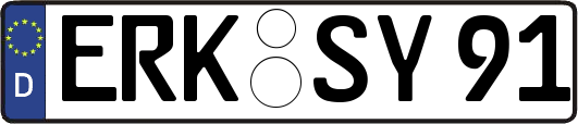 ERK-SY91