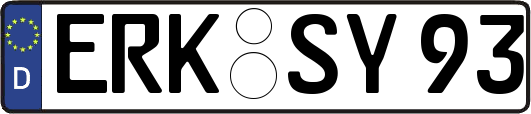 ERK-SY93