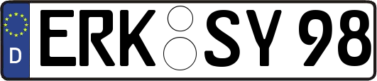 ERK-SY98