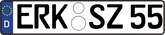 ERK-SZ55