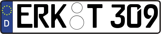 ERK-T309