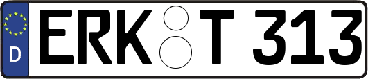 ERK-T313