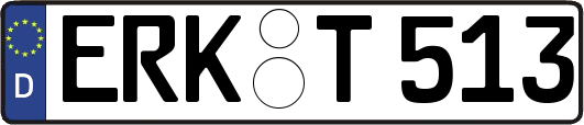 ERK-T513