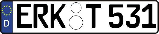 ERK-T531