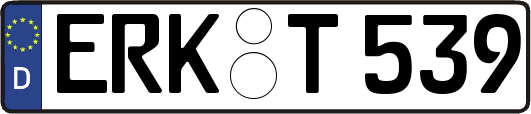 ERK-T539