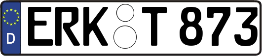 ERK-T873