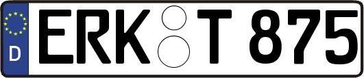 ERK-T875