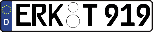 ERK-T919