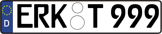 ERK-T999