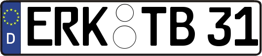 ERK-TB31
