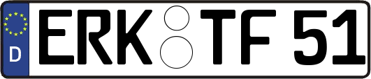 ERK-TF51