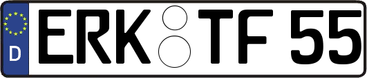 ERK-TF55