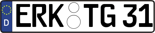 ERK-TG31