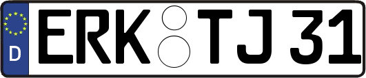ERK-TJ31