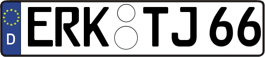 ERK-TJ66