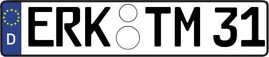 ERK-TM31