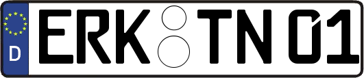 ERK-TN01