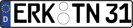 ERK-TN31