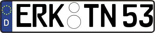 ERK-TN53