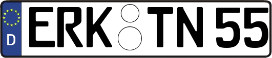 ERK-TN55