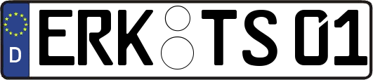 ERK-TS01