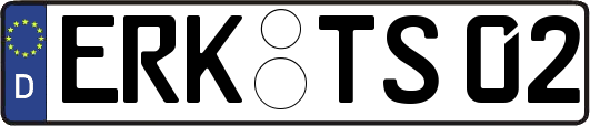 ERK-TS02