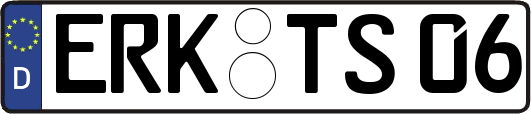 ERK-TS06