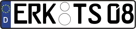 ERK-TS08