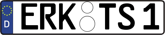 ERK-TS1