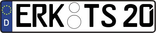 ERK-TS20