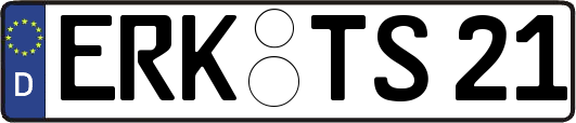 ERK-TS21