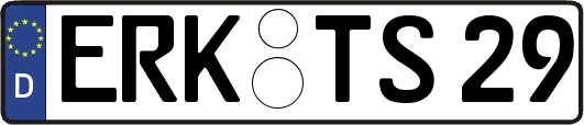 ERK-TS29