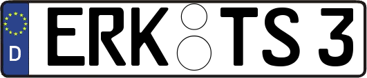 ERK-TS3