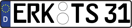 ERK-TS31
