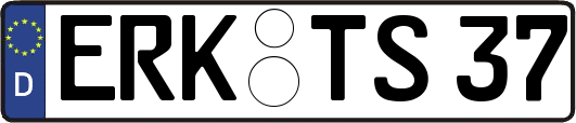ERK-TS37