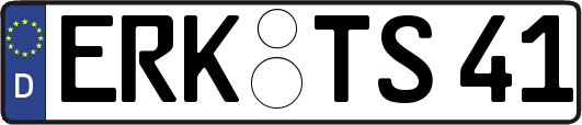 ERK-TS41