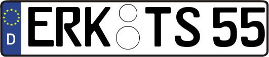 ERK-TS55