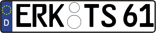 ERK-TS61