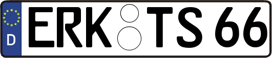 ERK-TS66