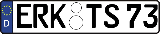 ERK-TS73
