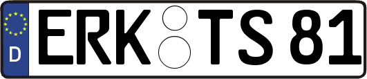 ERK-TS81