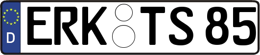 ERK-TS85
